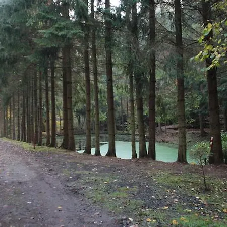 Prázdninový dům Seepark Bei Diane Mit Sauna Kirchheim (Hessen)