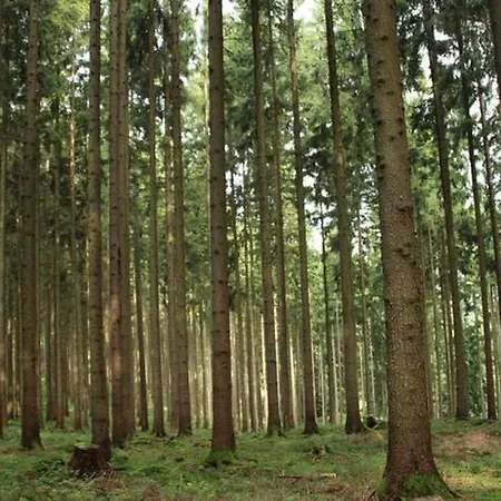 Сasa de vacaciones Seepark Bei Diane Mit Sauna